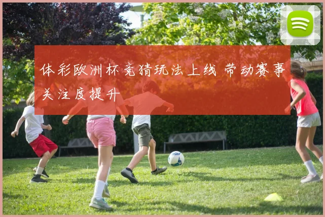 体彩欧洲杯竞猜玩法上线 带动赛事关注度提升